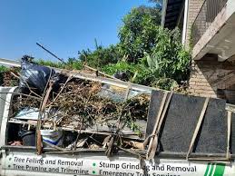 Best Donation Pickup Services  in Clio, AL
